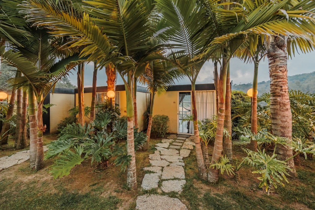 Cabañas rodeadas de palmeras al atardecer