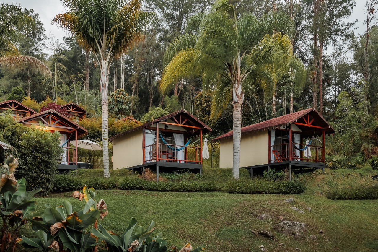 Cabañas de madera entre palmeras